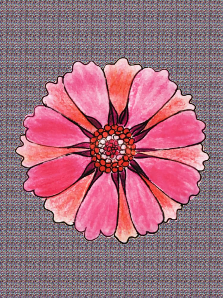 イラスト　花　ピンク