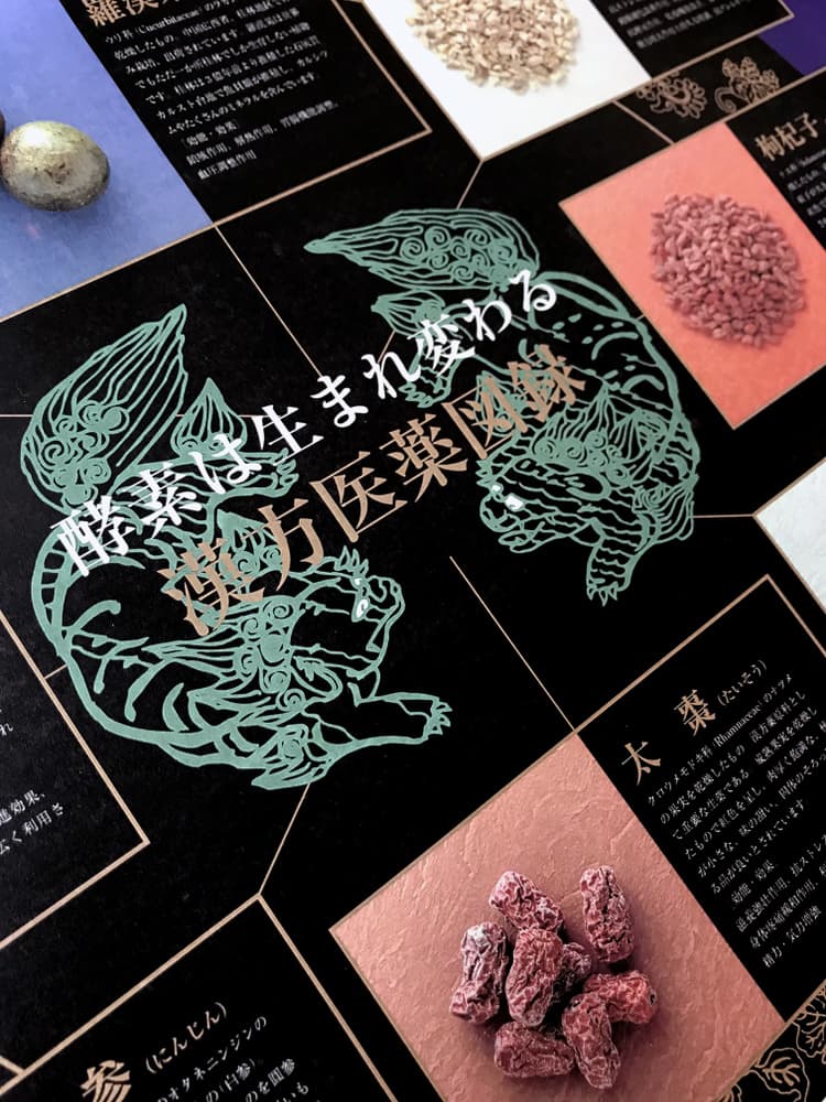 漢方薬チラシ